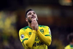 爱游戏-包含诺里奇客场惊险绝平热刺，保级形势不容乐观的词条